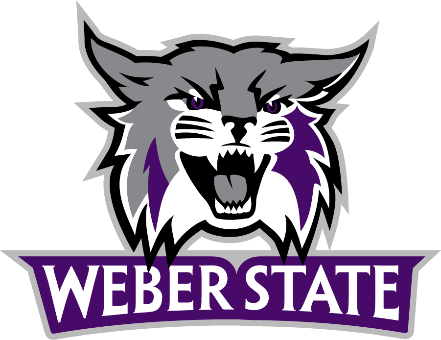 Weber State Wildcats 2012-Pres Primary Logo iron on transfers for clothing